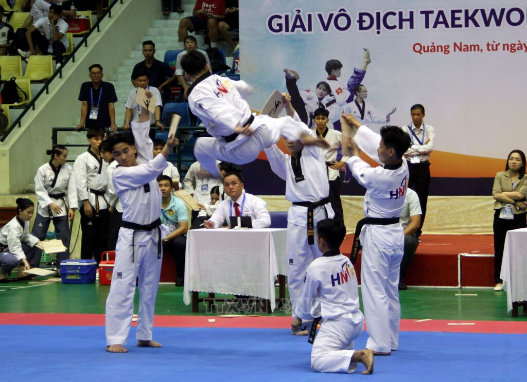Taekwondo Championship